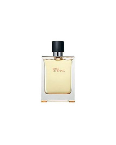 Hermes Terre D'Hermes toaletní voda pánska 100 ml